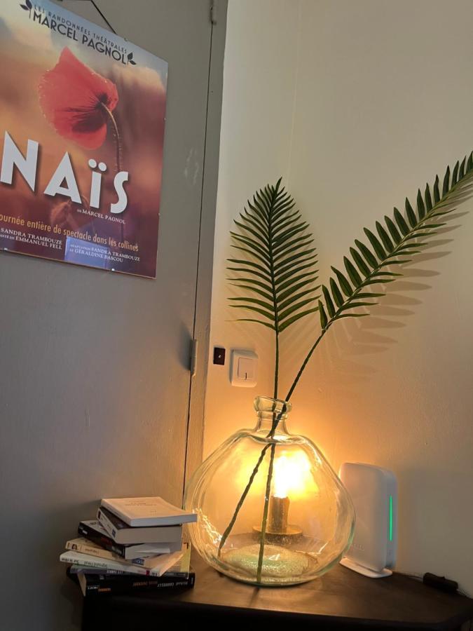Appartement Chaleureux En Provence Saint-Maximin Buitenkant foto